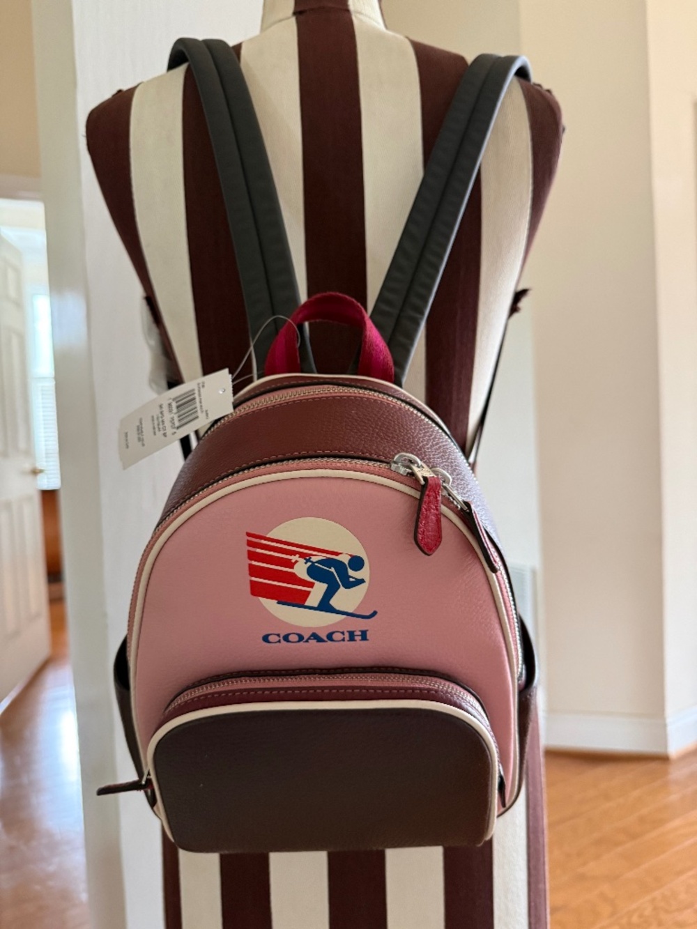 Coach Mini Court Colorblock Pink Ski Backpack Pebbled Leather Gold Hardware NWT